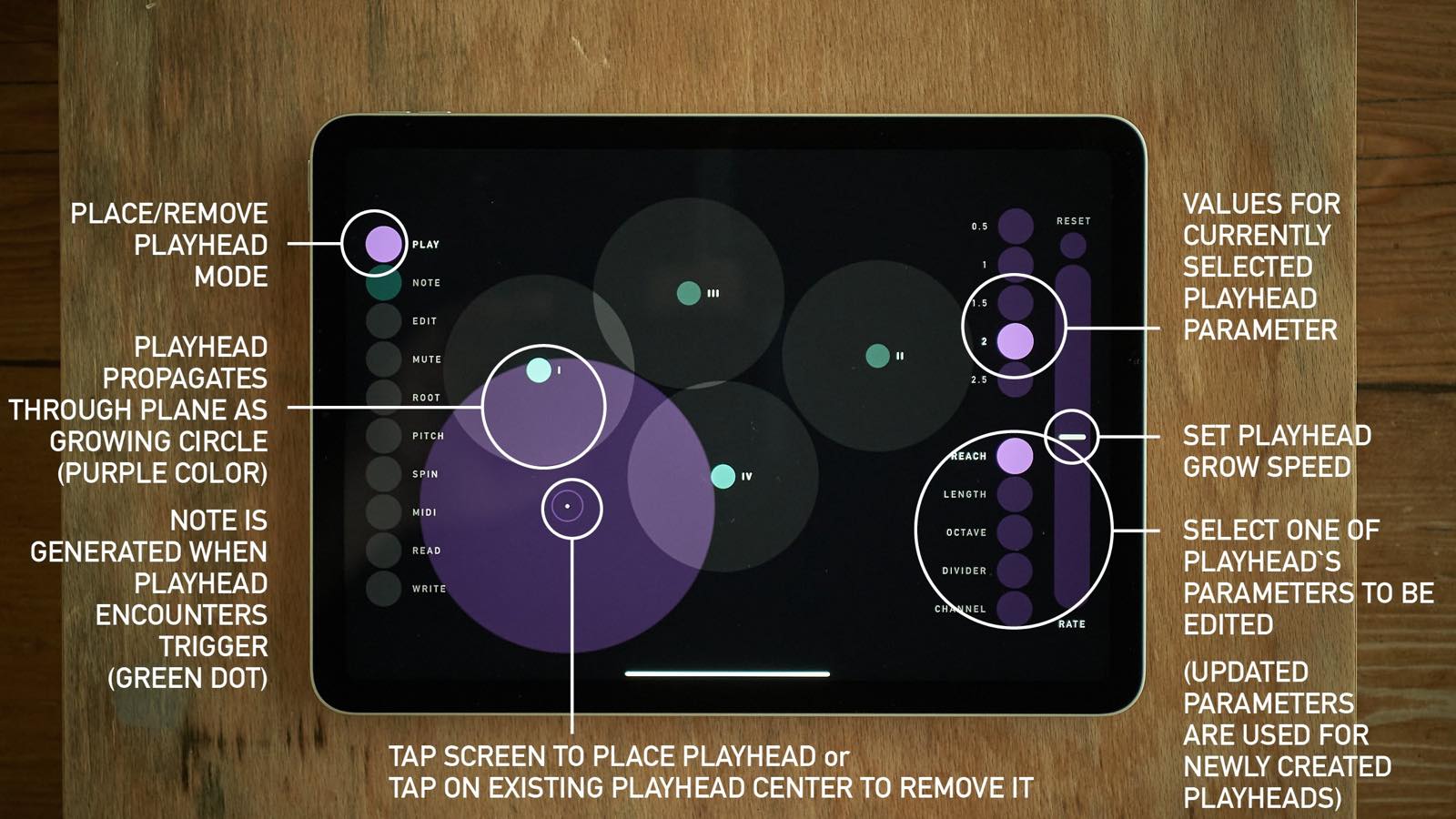 sqsl Circle screenshot 4