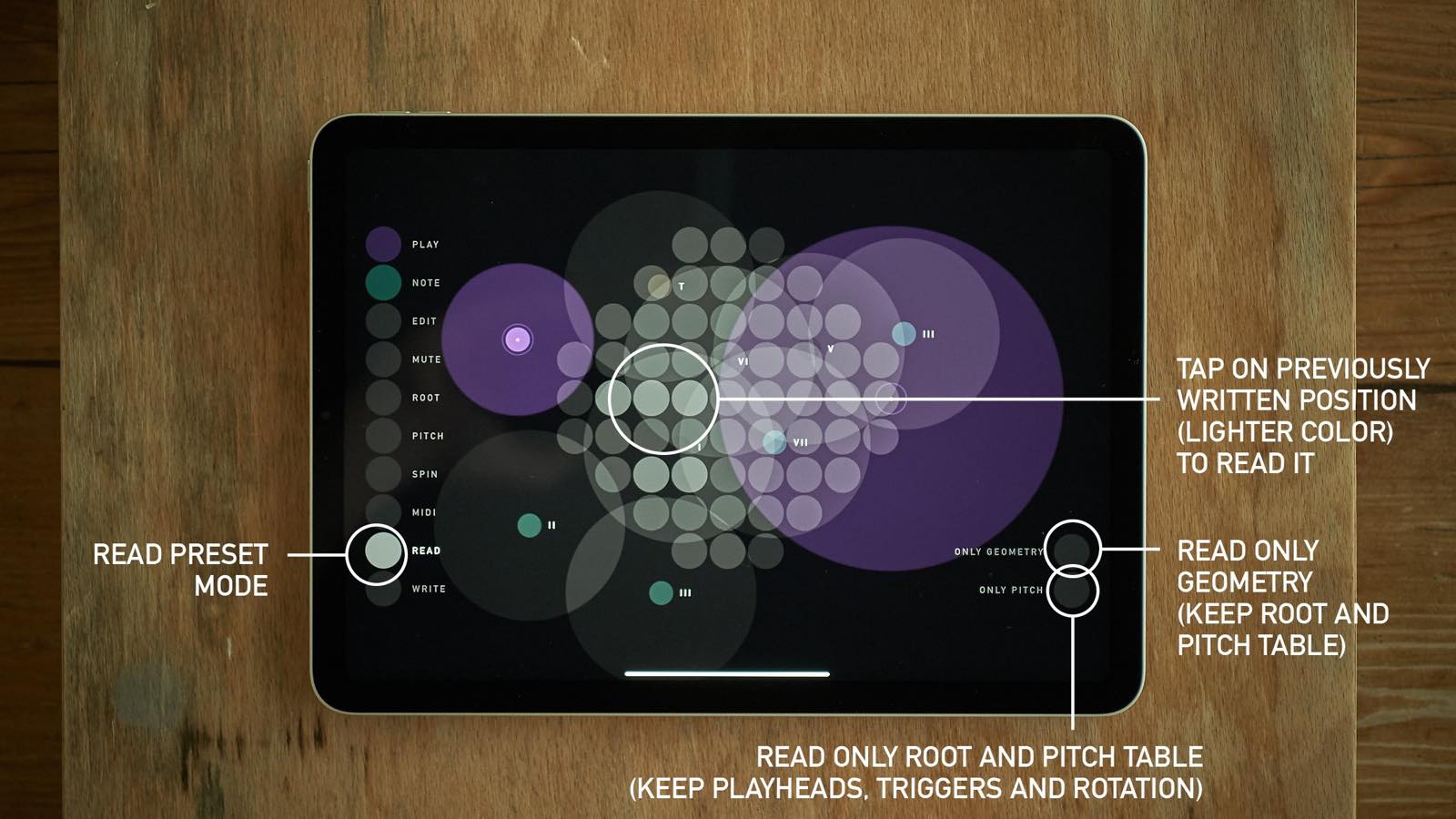 sqsl Circle screenshot 13