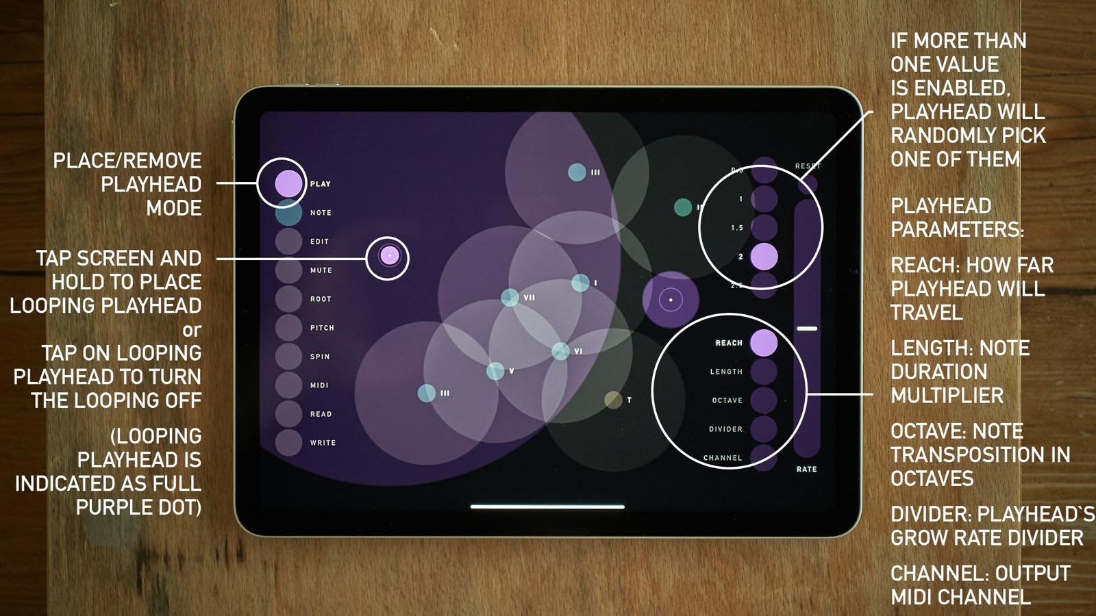 sqsl Circle screenshot 5