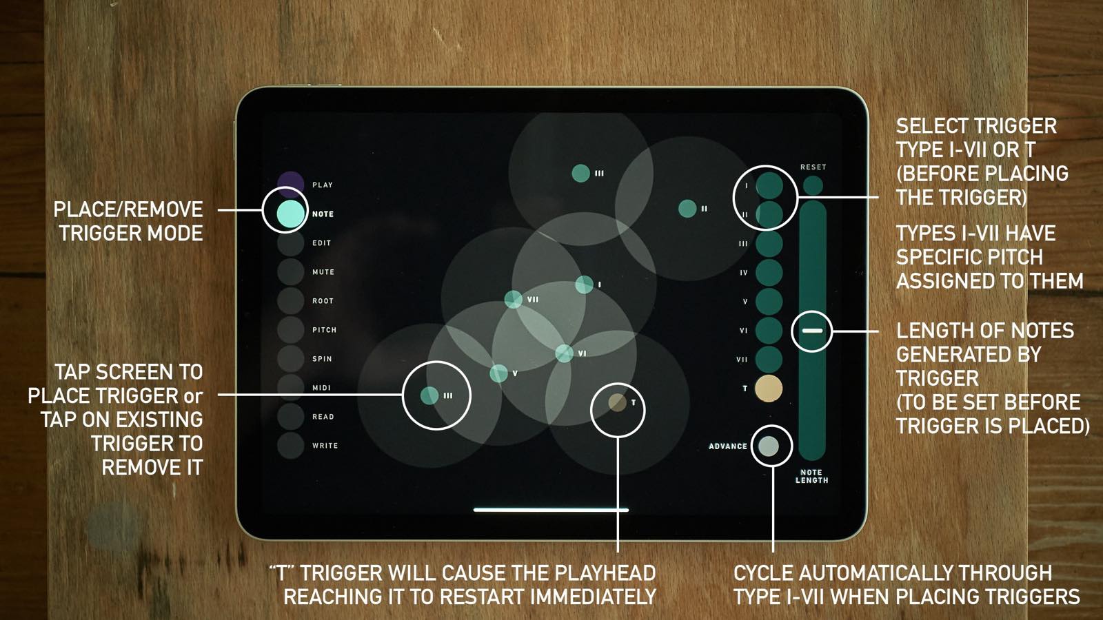 sqsl Circle screenshot 6