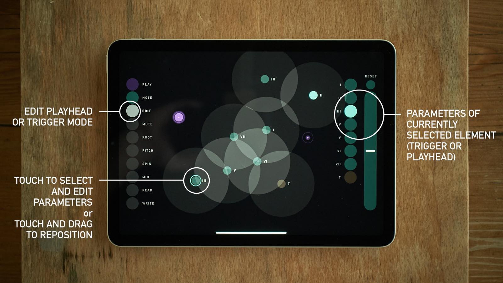 sqsl Circle screenshot 7