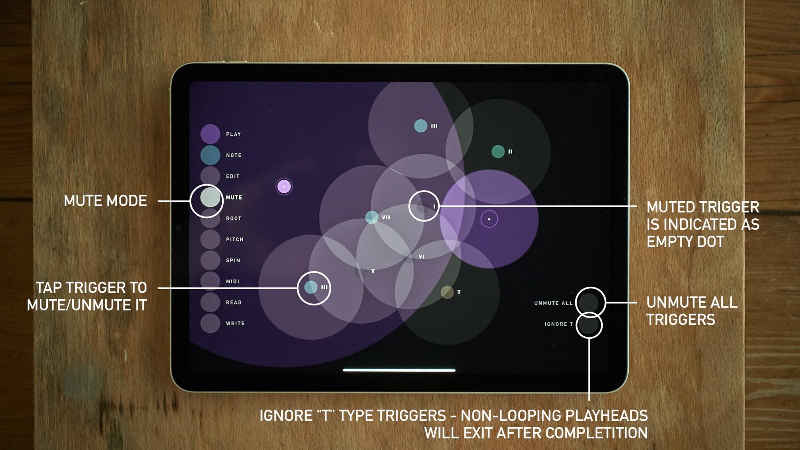 sqsl Circle screenshot 8