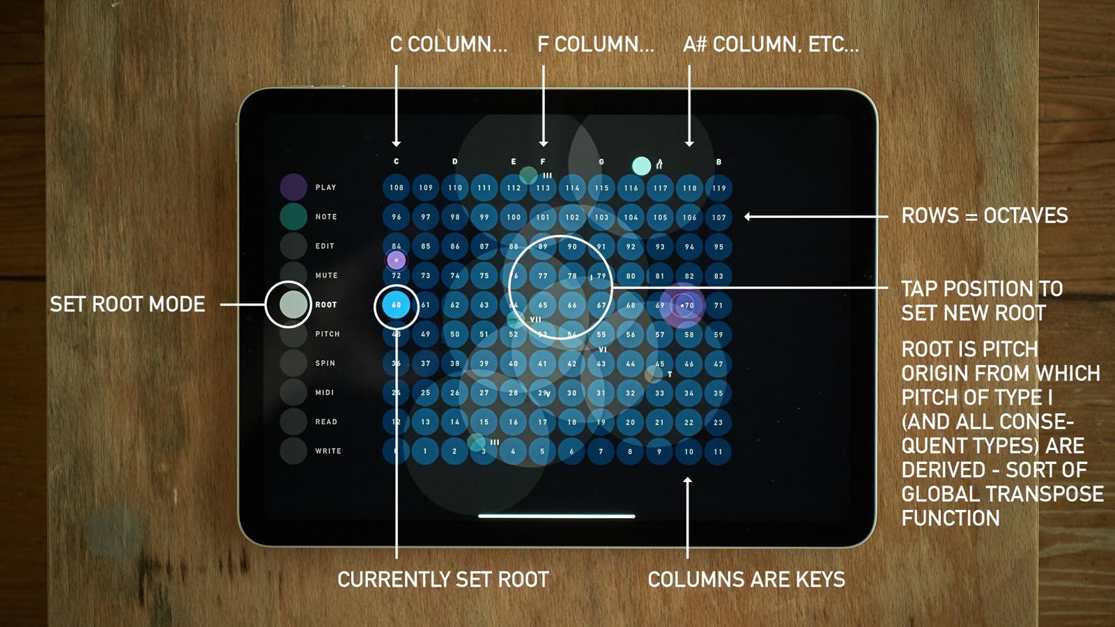 sqsl Circle screenshot 9
