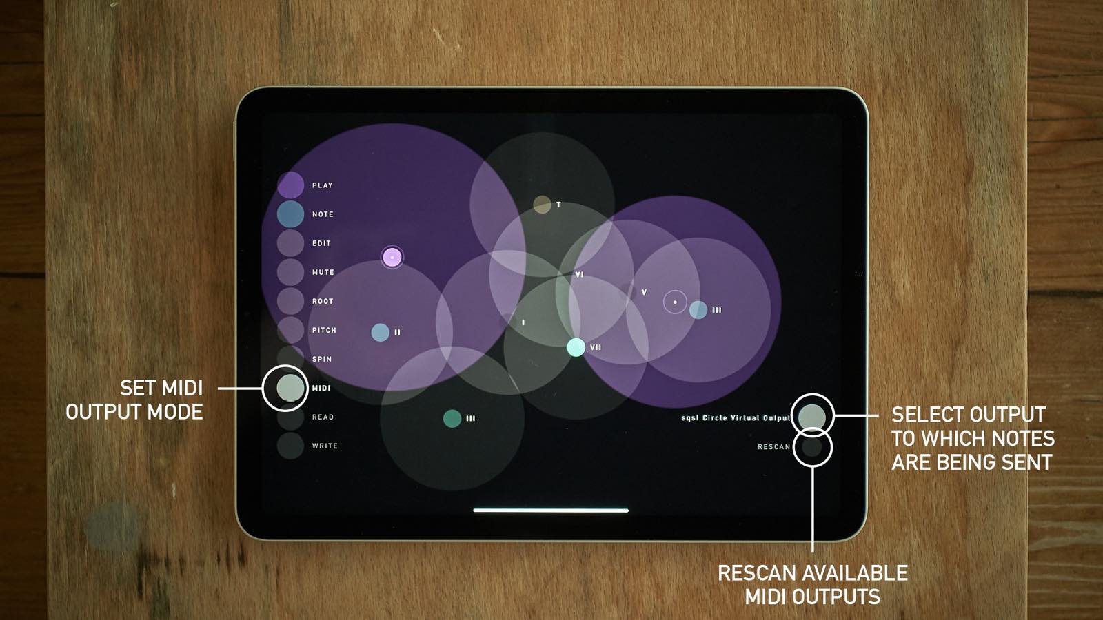 sqsl Circle screenshot 12